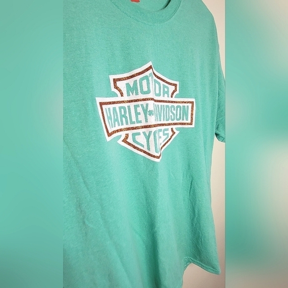 Harley Davidson Screen Printed Glitter Graphic On Hanes T-shirt, Size Medium - Picture 2 of 3